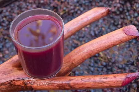 Cum îți dai seama că mustul începe să fermenteze