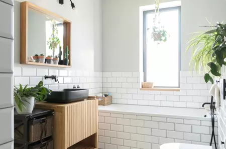 Cele mai bune plante pentru baie – absorb umiditatea