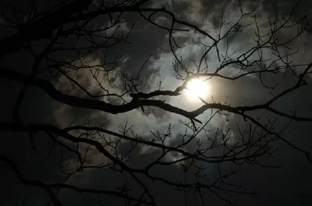 Luna plină din 4 decembrie. Energie, dinamism și comunicare deschisă sub semnul Gemenilor