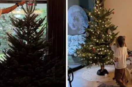 Cum arată bradul Adelei Popescu. Actrița și familia ei au optat pentru un pom natural de Crăciun