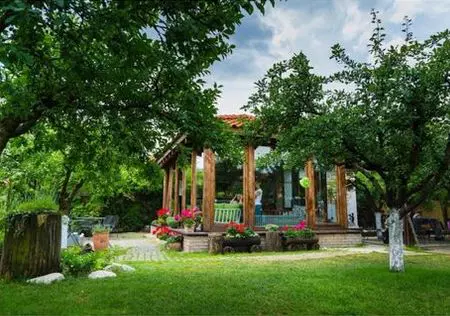 Alexandru-fiul-Adelei-Popescu-si-a-lui-Radu-Valcan-8