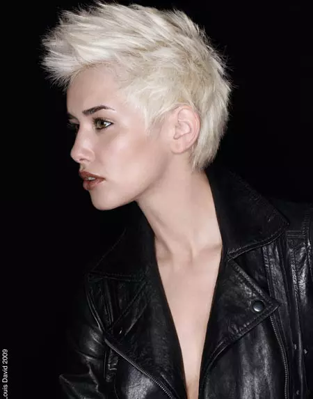 Propunerile hair stilist-ul Jean Louis David pentru iarna 2010