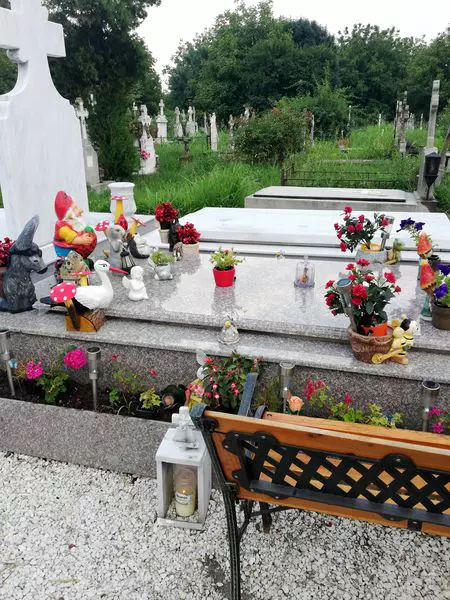 IMG_20200704_200505-scaled