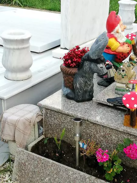 IMG_20200704_200537-scaled