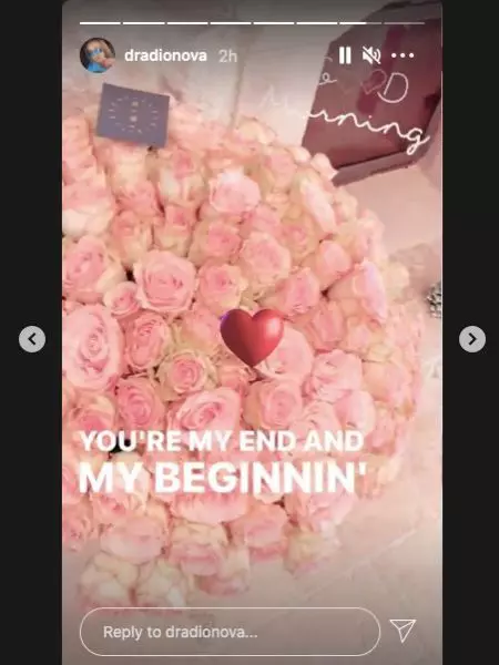 daria-radionova-instastory