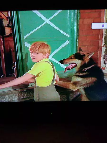 Pistruiatul-Costel-Baloiu-face-dezvaluiri-soc-Securitatea-m-a-batut-pana-n-am-mai-stiut-de-mine.-Cati-bani-a-primit-pentru-rolul-vietii-12