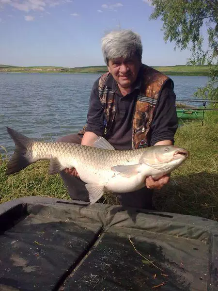 Pistruiatul-Costel-Baloiu-face-dezvaluiri-soc-Securitatea-m-a-batut-pana-n-am-mai-stiut-de-mine.-Cati-bani-a-primit-pentru-rolul-vietii