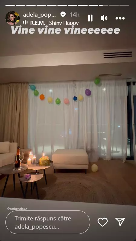 radu-valcan-adela-popescu-apartament-olimp-6