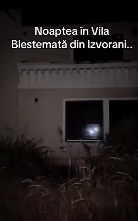 vila Izvorani – Irinel Columbeanu (3)