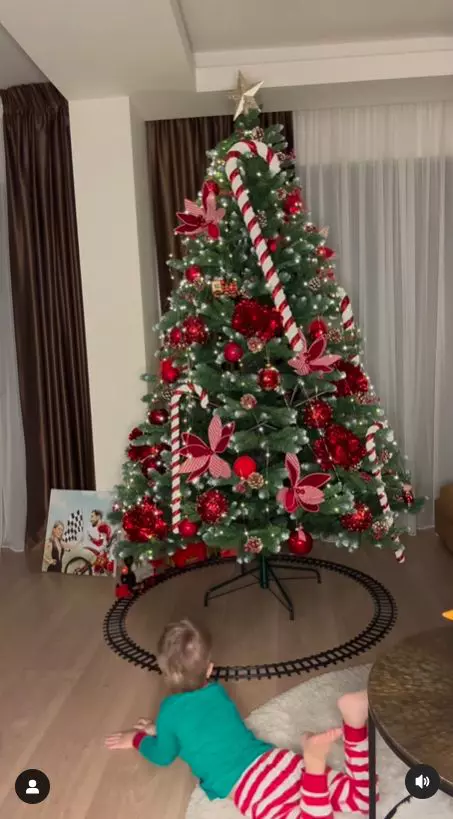 Cum arată bradul familiei Oțil  (2)