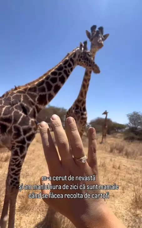 ada-dumitru-logodna (3)