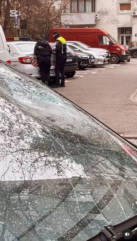 Lucian Viziru, victima unui act de vandalism   (2)