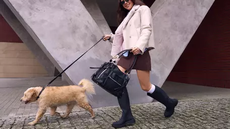 Cum îți depozitezi corect gențile de damă pentru a le menține forma intactă?