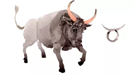Horoscop anual 2027 Taur. Previziuni pentru zodia Taur, în 2027