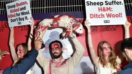 PETA a întrerupt show-ul H&M la London Fashion Week, după o acțiune similară la prezentarea COS din New York