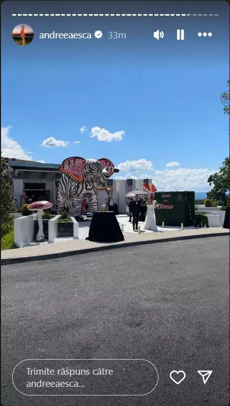 invitatii-au-fost-intampinati-de-un-elefant