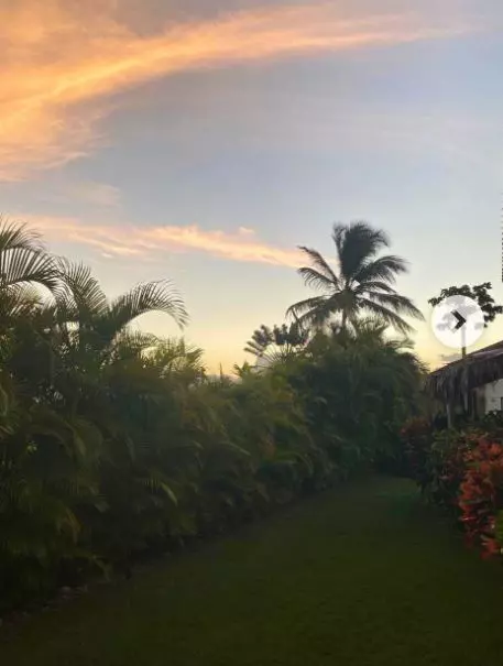 curte casa daniel pavel