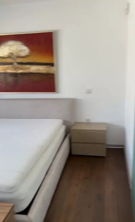 mihai petre elwira casa veche 4