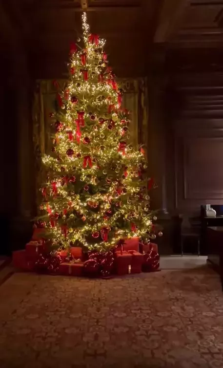 dana-budeanu-revelion-marea-britanie-11