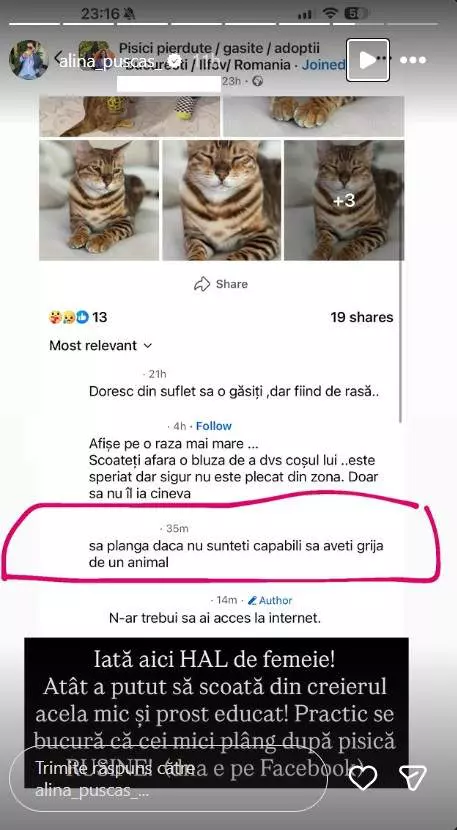 Alina Pușcaș postare1