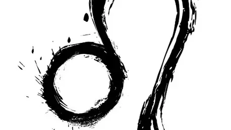 Profilul sexual al barbatului Leu