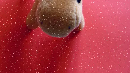 Merry Christmas! (7)