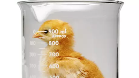 Mostenire de familie