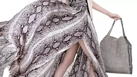 Editorial: Fashion express