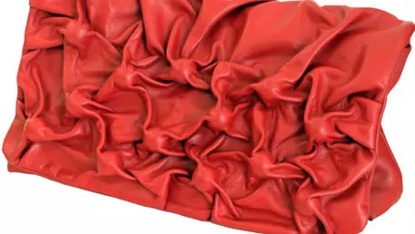 Plic din piele naturala, Silvia Serban