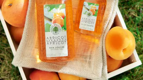 Colectia Caisa Bergeron, de la Yves Rocher