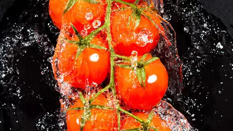 Alimentatia si panica organica