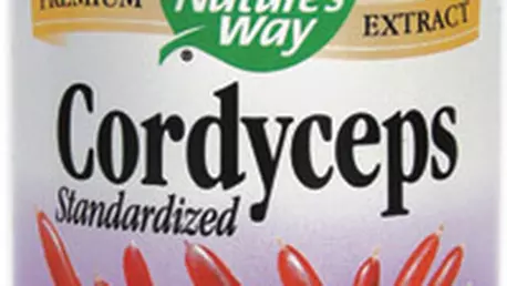 Ciuperca medicinala Cordyceps pentru sanatatea ta