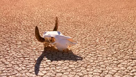 Supravietuiti Armaghedonului!