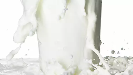 Produsele lactate - benefice sau daunatoare sanatatii?