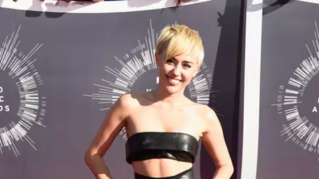 Vedete pe covorul rosu la MTV VMA 2014 (galerie foto)