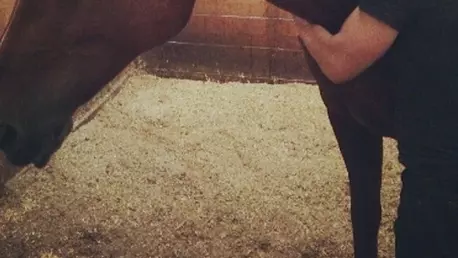 Ian Somerhalder si Nikki Reed sunt fericitii parinti ai unui …cal!