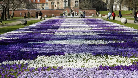 7 locuri pe care trebuie sa le vizitezi in Copenhaga