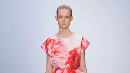 Giambattista Valli toamna-iarna 2014/2015