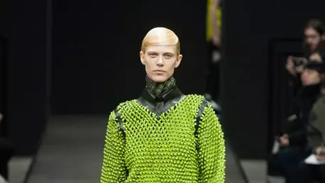 Alexander Wang toamna-iarna 2014/2015