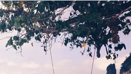 Rosie Huntington-Whiteley, vacanta in paradis!