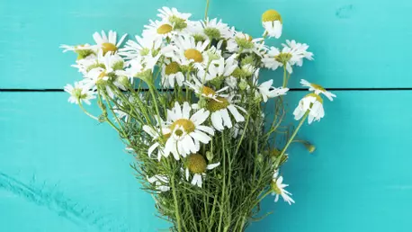 19 remedii naturale pentru anxietate