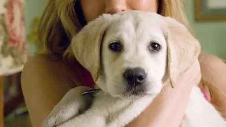 Zodiile si animalele de companie - Care este animalul de companie ideal, in functie de zodia ta