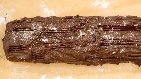 Buturuga de Craciun, de Ioana Dumitrescu