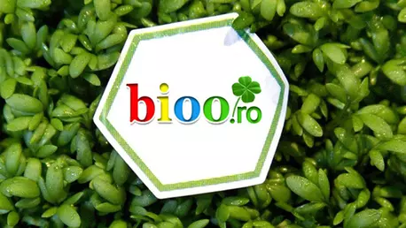 (P) Spuneți STOP cancerului cu Onconovival și Canticer Plus