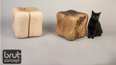 Ce obiecte de design, marca Brut Concept, găsești la ELLE Decoration Designers Boutique