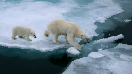 Documentare despre încălzirea globală care te vor pune serios pe gânduri