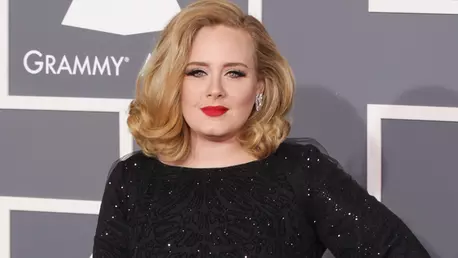 Adele a postat o imagine amuzantă care face referire la despărțirea prin care a trecut recent