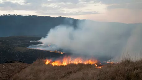 Pădurea Amazoniană arde atât de tare încât incendiile sunt vizibile din spațiu
