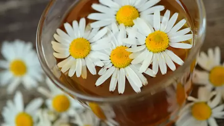 (P) Beneficiile unei plante extrem de populare!