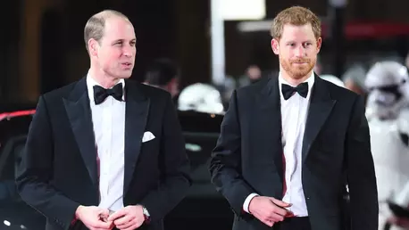 Disputa dintre Prințul Harry și Prințul William va fi făcută publică